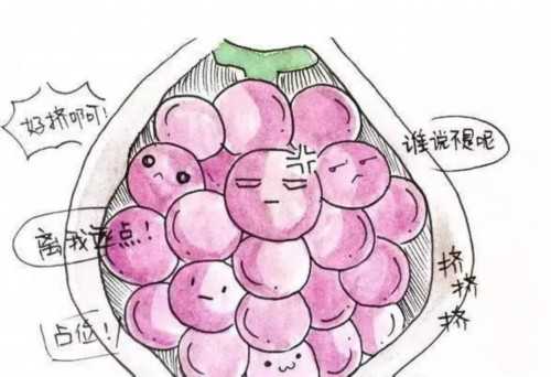 广州金贝供卵_金贝海外和恒健海外哪个好|广州供卵试管婴儿包生男孩医院排名