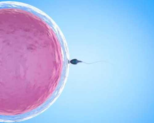 金贝供卵被骗_金贝试管中心官网|哪些人群赴泰国试管助孕前需要做染色体检查