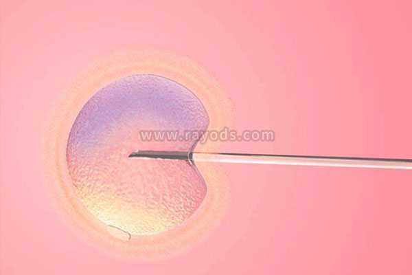 aa69怎么样美国_世纪助孕包成功,试管移植哪种胚胎成功率高？冻胚以及囊胚移植