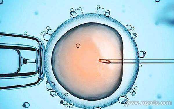 供卵试管婴儿流程_供卵自怀_兰州哪家医院试管婴儿医师比较多？