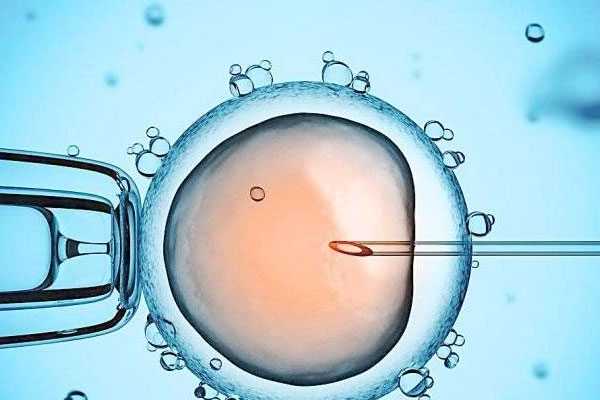 厦门怎么能找到代孕_做试管婴儿促排卵针要打多长时间